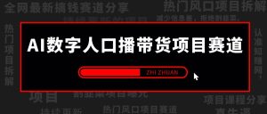 【2024.9.23】AI数字人口播带货项目赛道，解决出镜/实拍/制作效果假等问题 系统性项目玩法拆解-小鲸副业资源库