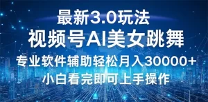 【2024.9.29】视频号最新3.0玩法，当天起号小白也能轻松月入30000+-小鲸副业资源库