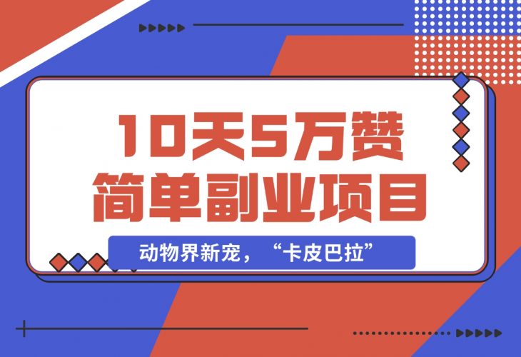 【2024.12.01】动物界新宠,“卡皮巴拉”是什么东西,10天5万赞,萌翻一片,管道收益,简单副业项目-小鲸副业资源库