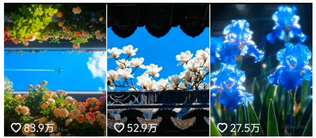 图片[1]-【2025.10.30】AI绽放治愈力！百万点赞的电子花朵，化身你的心灵布洛芬-小鲸副业资源库