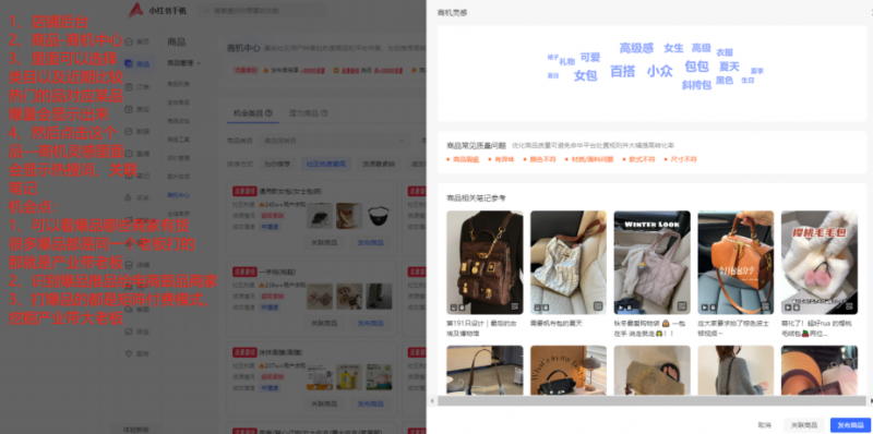 图片[3]-【2025.12.06】如何通过小红书平台查看大盘优质素材＋同行数据-小鲸副业资源库